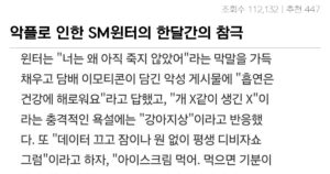 Read more about the article sm엔터 에스파 윈터 악플 고소 결정