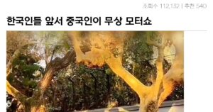 Read more about the article 중국웹에서 한국인 관광객의 모터쇼 논란 레전드