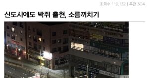 Read more about the article 우리 집에서 박쥐 출현, 신도시까지 소름 chill