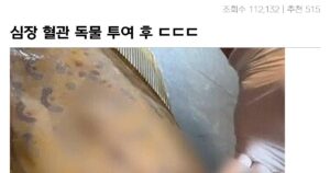 Read more about the article 복어독으로 날개쥐치 회의 위험한 섭취 방법