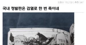 Read more about the article 정식발매가 검열로 인한 불법전환의 현실.jpg