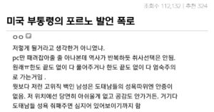 Read more about the article 한국여성들 입맛에 맞춘 야동 수입 반전!