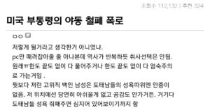 Read more about the article 디씨 난리난 미국 부통령 ‘포르노 발언’ ㄷㄷㄷㄷ.jp