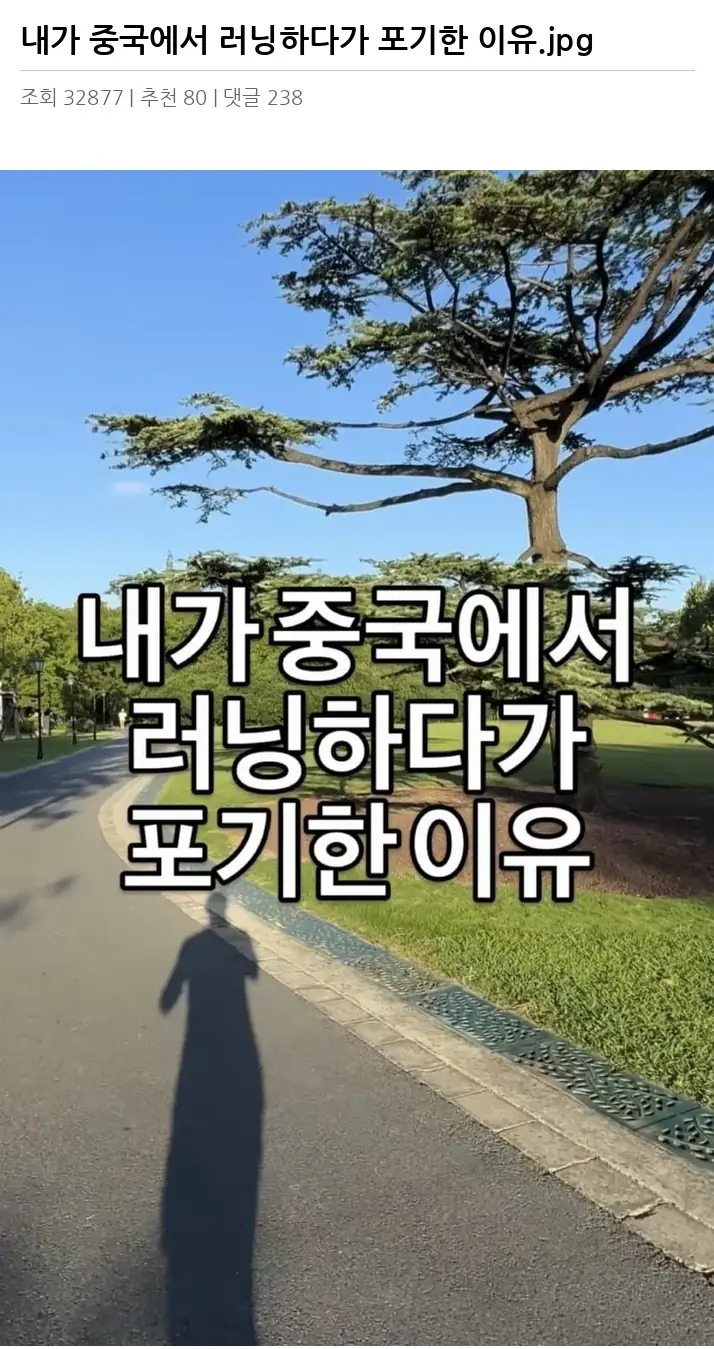 Y2117522_2.webp