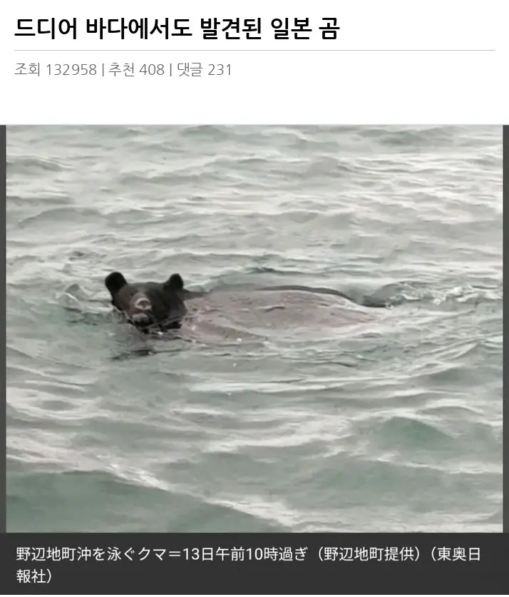 @2254148_2.webp