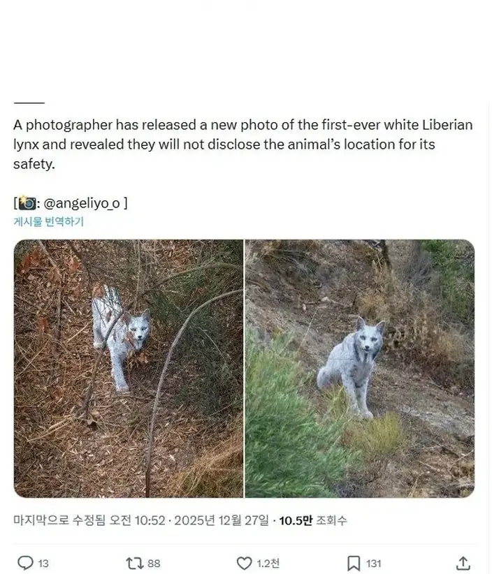 F2404291_6