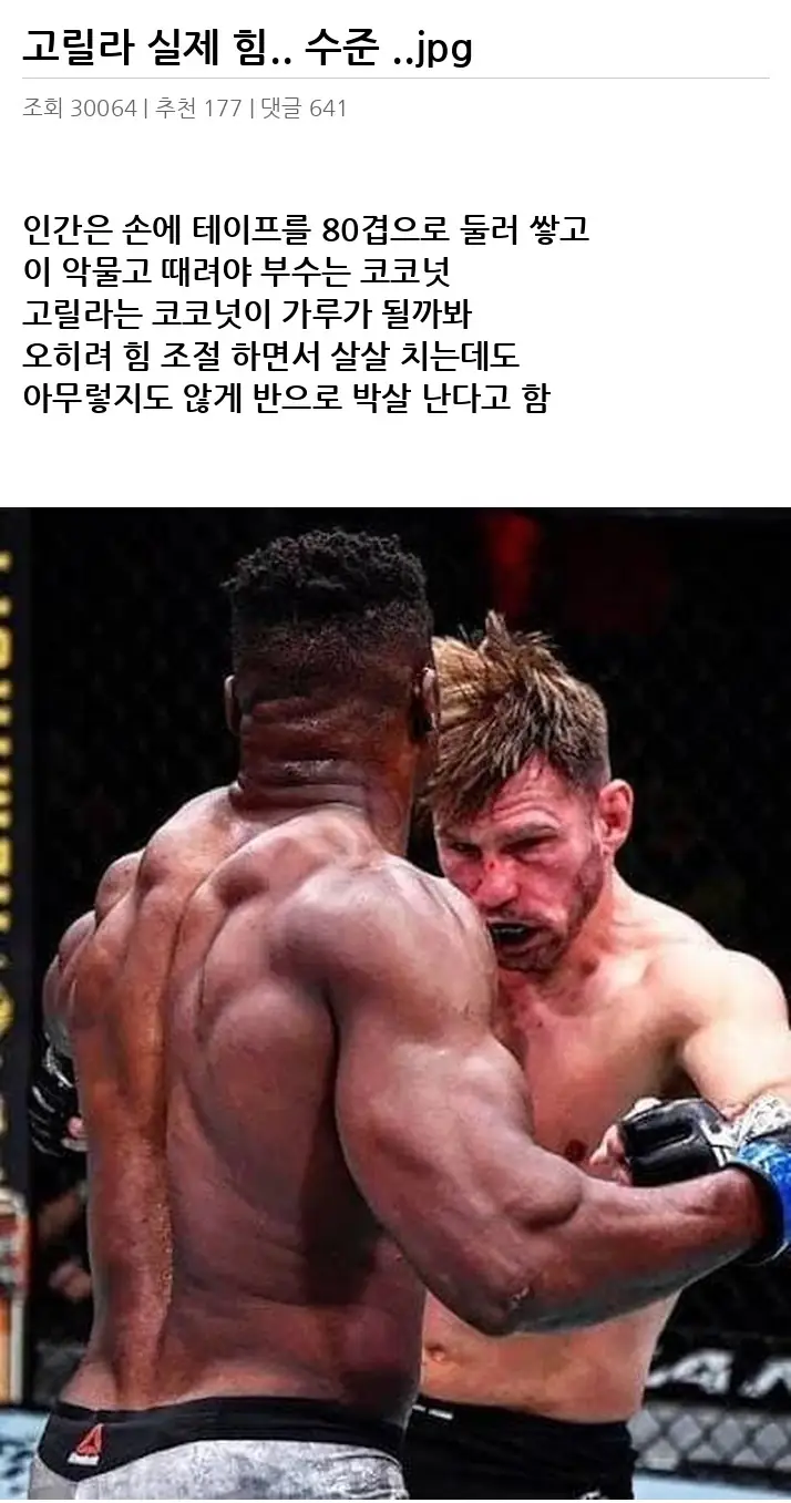 B2550423_2.webp