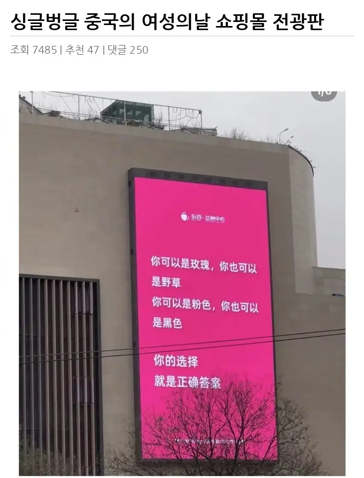 F2539512_2.webp