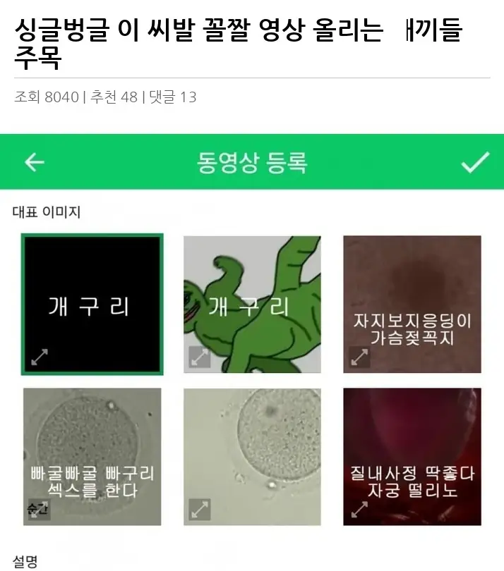 O2618083_2.webp