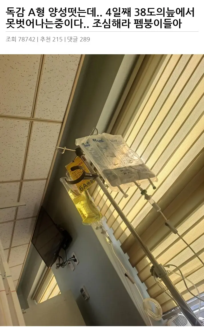 U2549145_2.webp