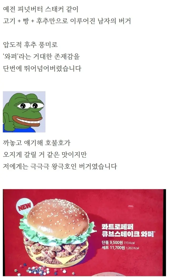X2461532_32