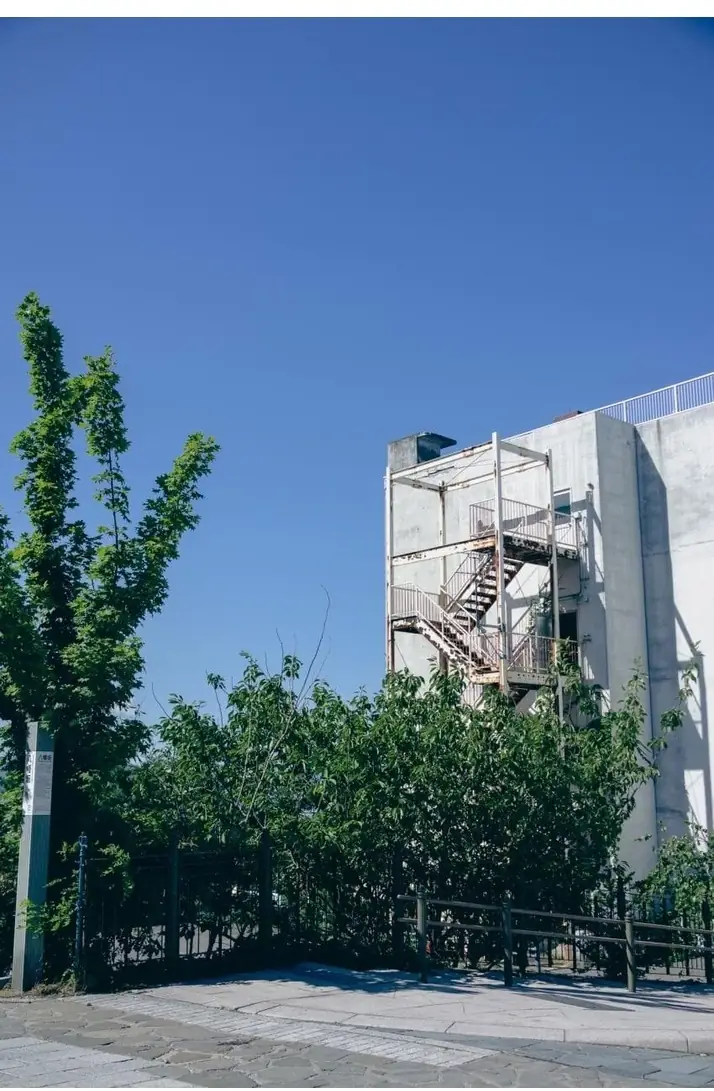 X2623558_10