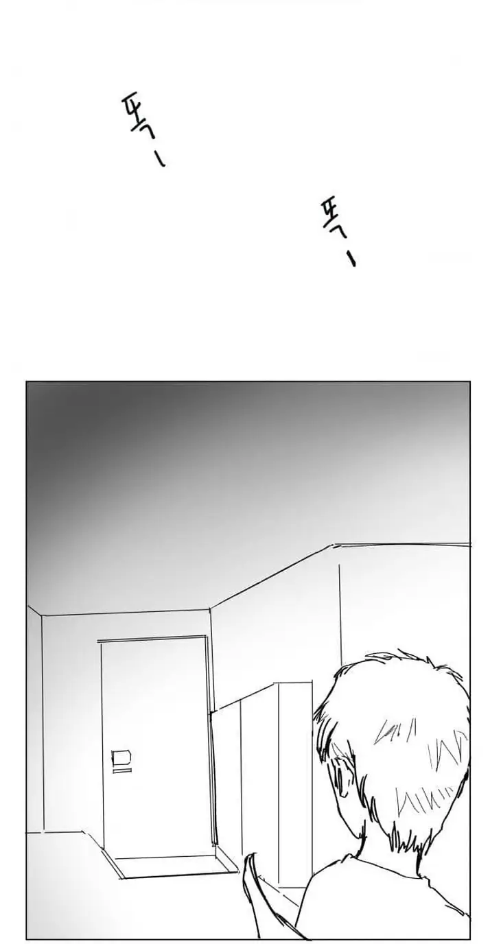 M2644033_82