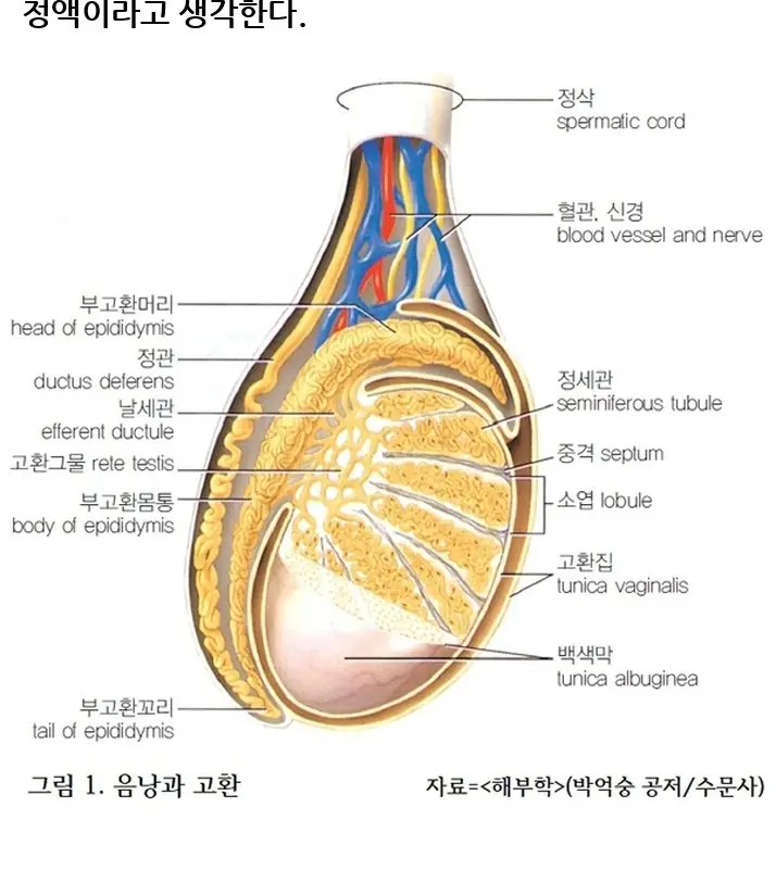 Y2677384_4