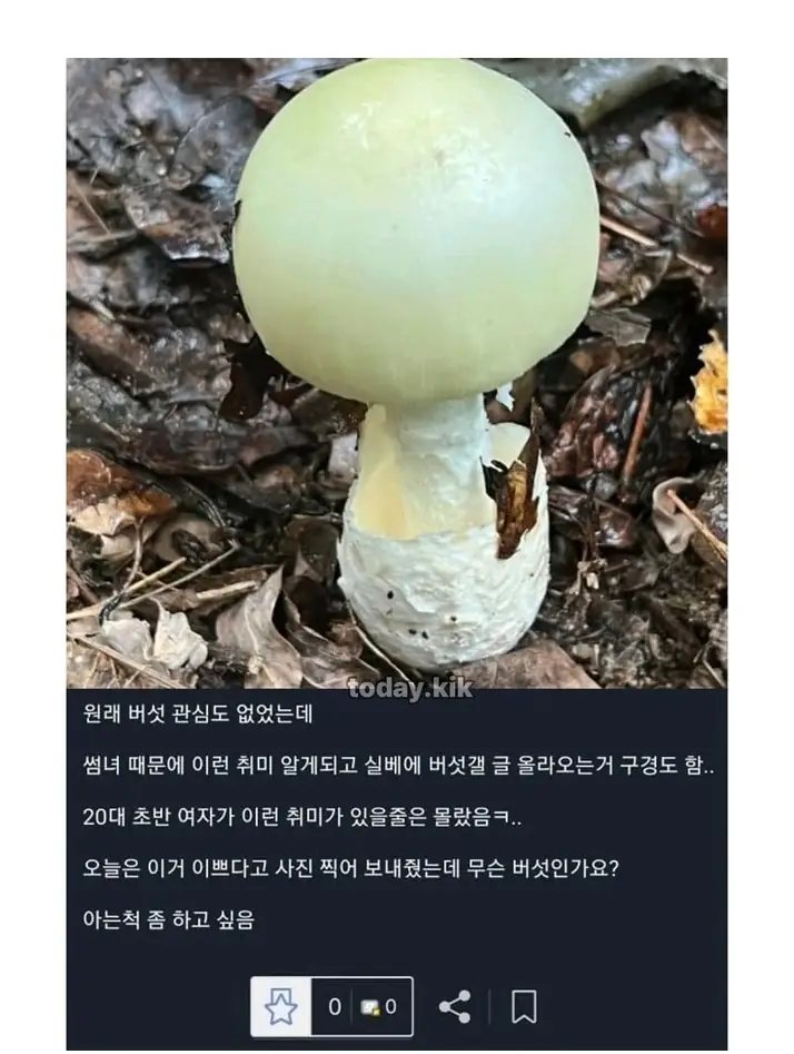 Y2691494_4