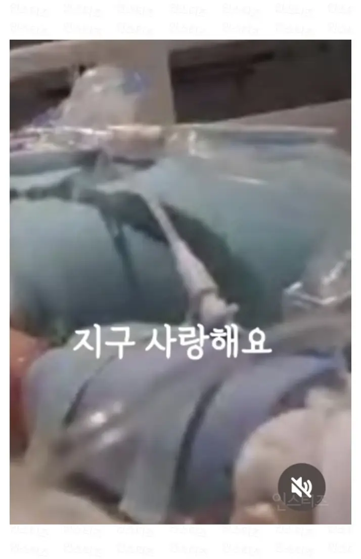 A2891764_12