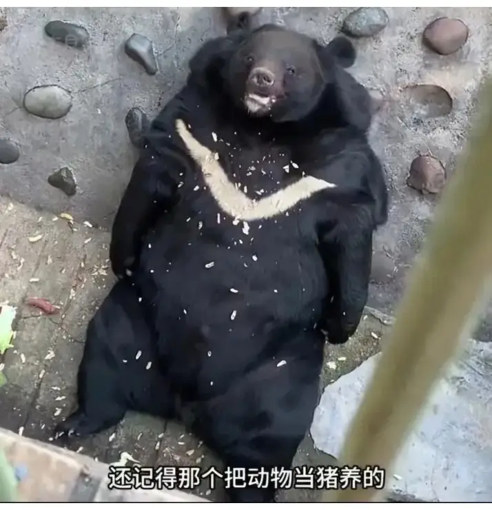A3086239_10