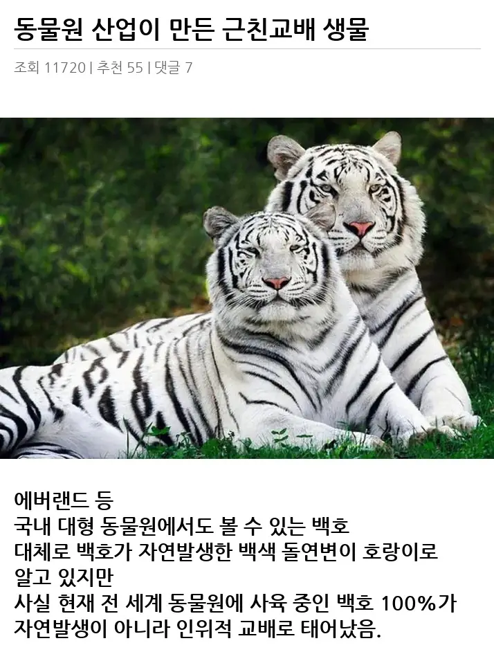 A3103299_02.webp