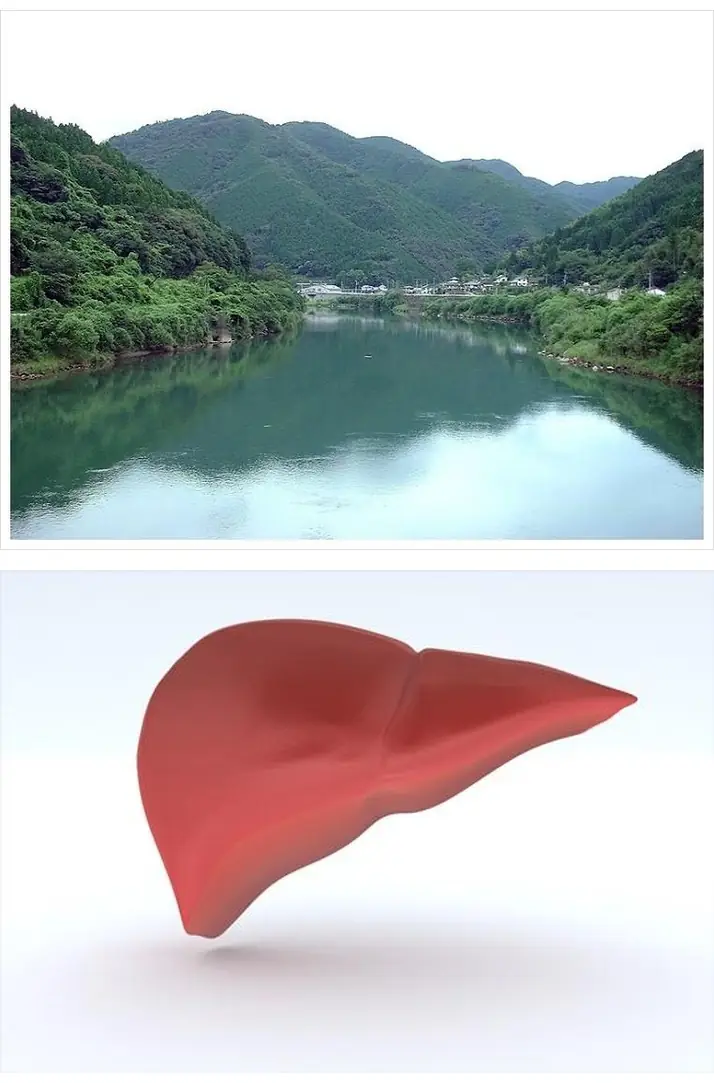 A3419715_34