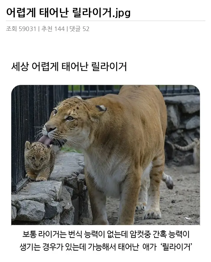 A3453196_02.webp