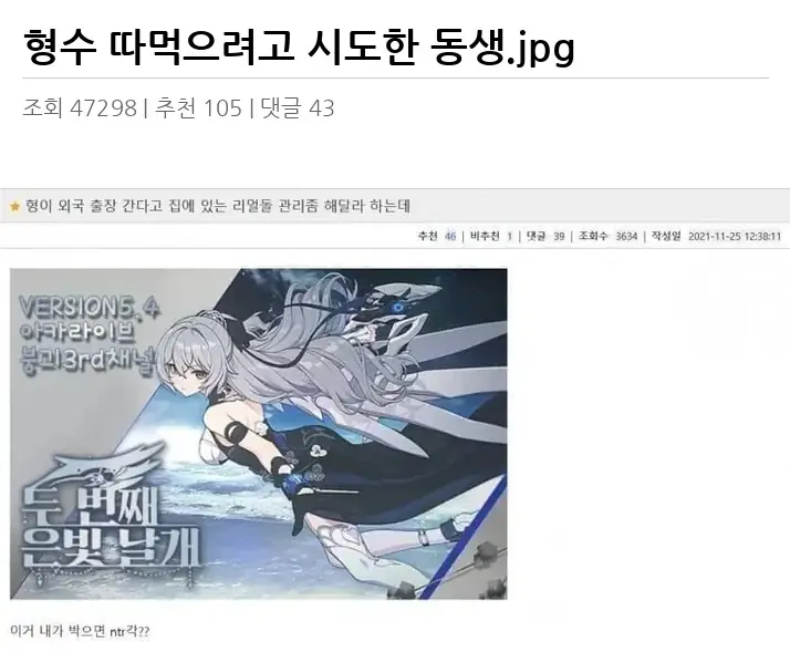 A3454106_02.webp