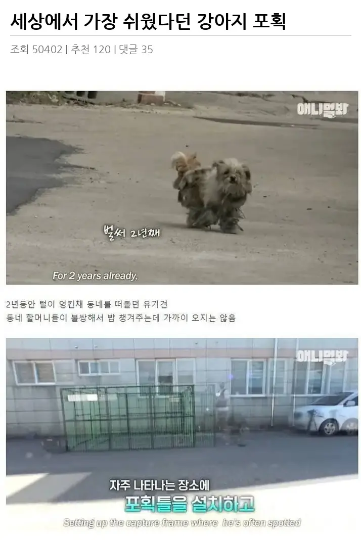 A3500944_02.webp