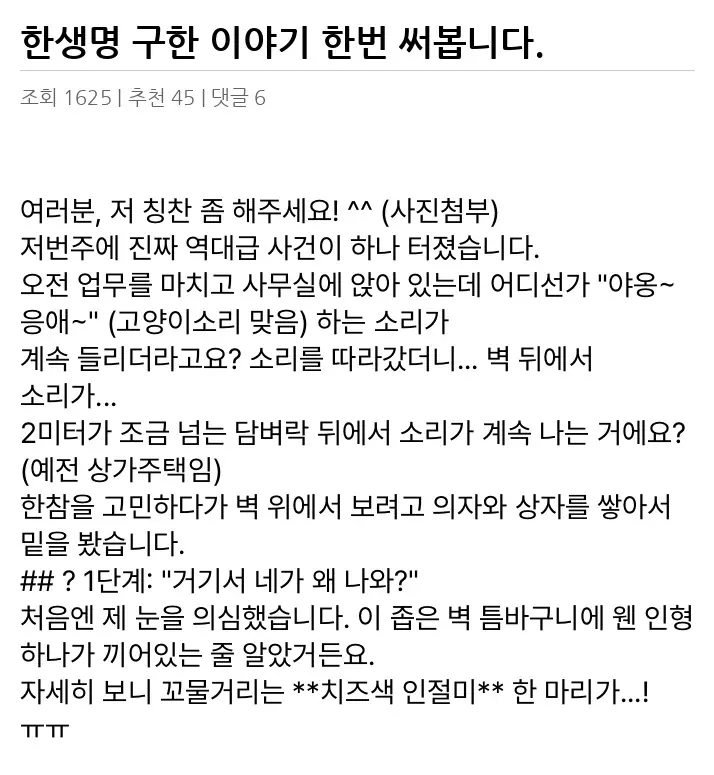 A3503168_02.webp