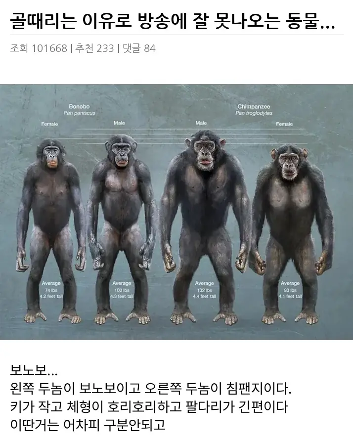 A3527390_02.webp