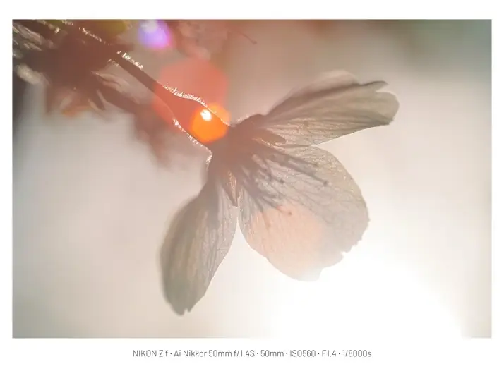 A3529870_04