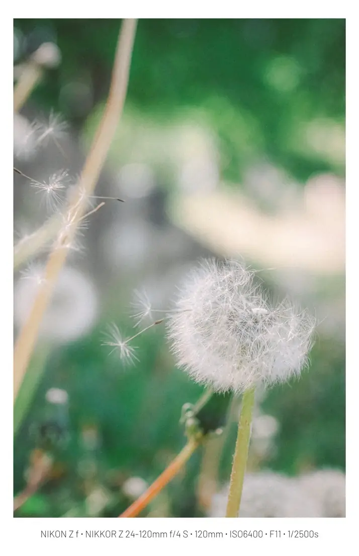 A3529870_08