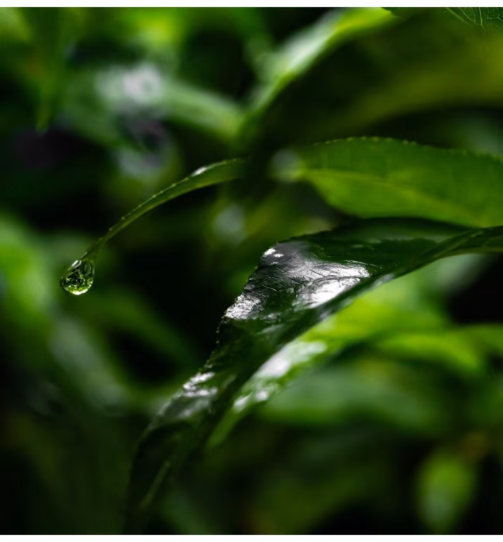 A3529870_10