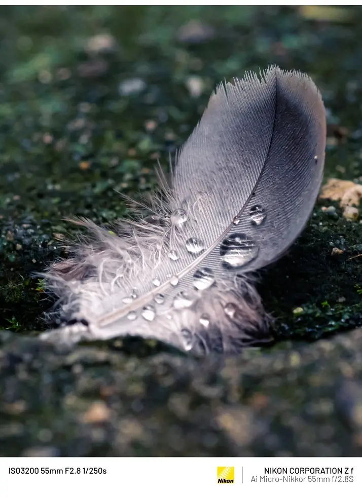 A3529870_14