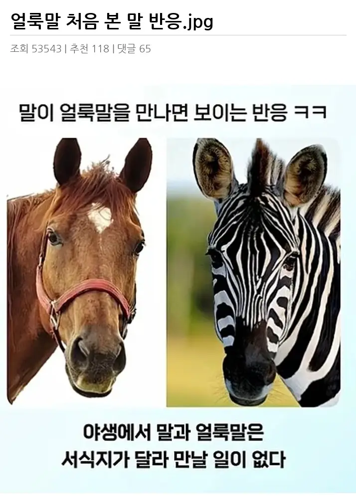 A3549796_02.webp